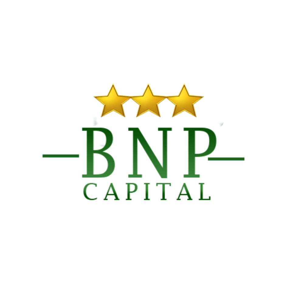 BNP CAPITAL LOGO FONDO BLANCO (1) BNP CAPITAL LOGO FONDO BLANCO
