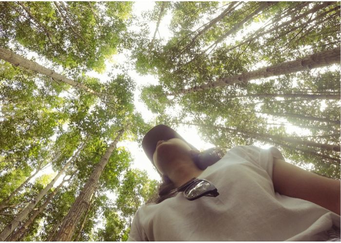 Turismo Sustentável