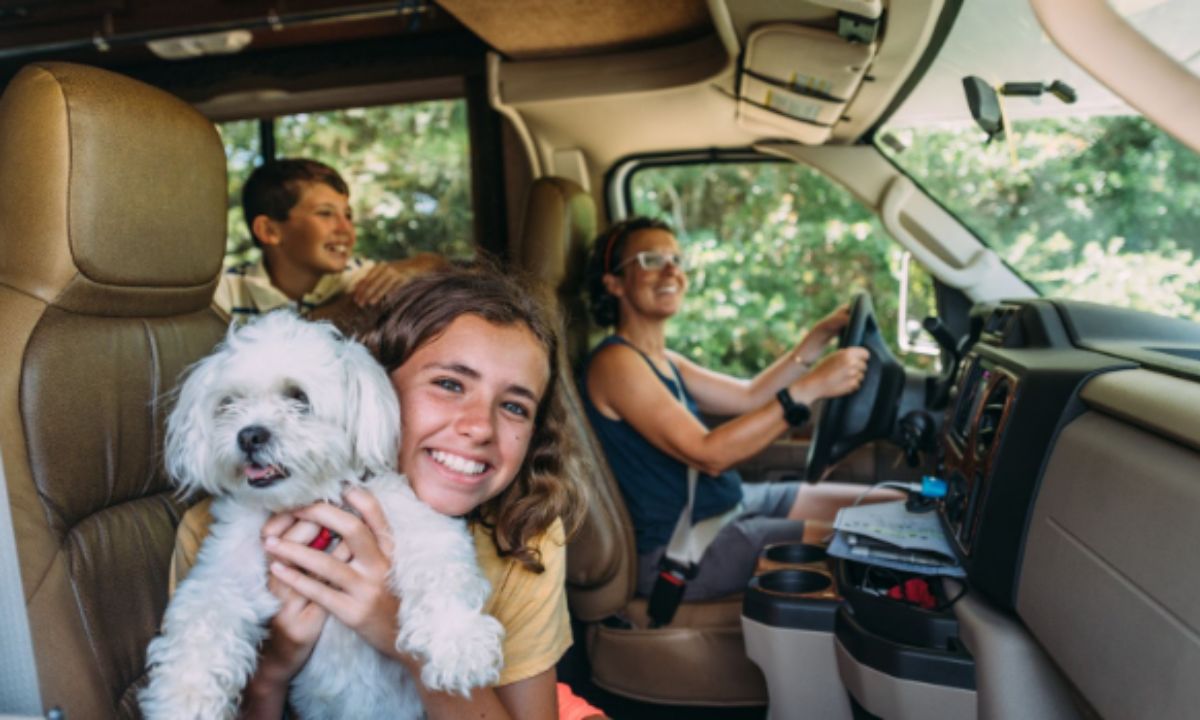 Férias Inteligentes Como transformar sua viagem em um investimento (3) Férias Inteligentes Como transformar sua viagem em um investimento