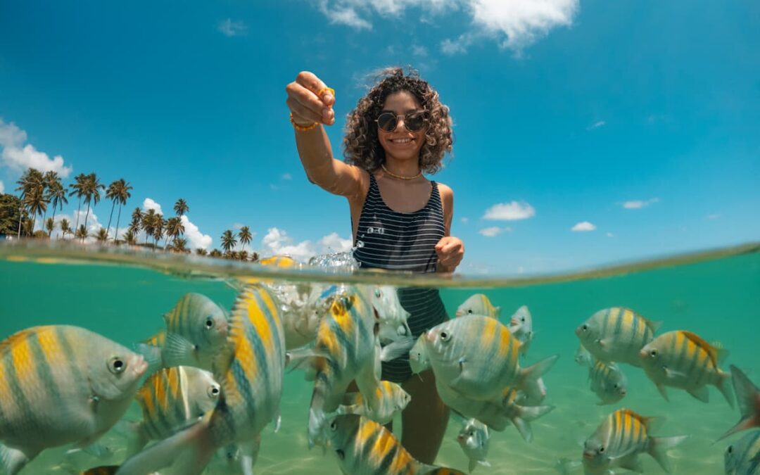 Guia Prático: Identifique e Evite Golpes em Pacotes de Viagem Online